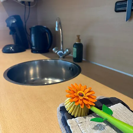 Apartment 't In Goeree