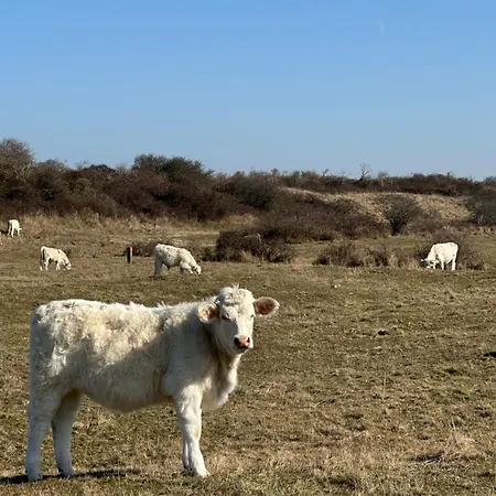 't In Goeree דירה