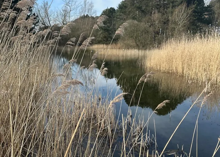 't In Goeree Lejlighed