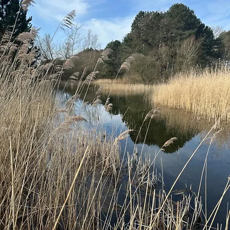 't In Goeree Апартаменты